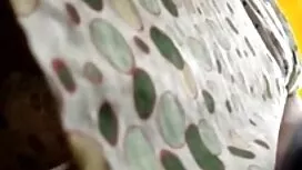 極端な肛門刺激オーガズム 女性 の ため ...