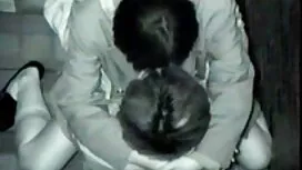 彼らは警察のラクダを追いかけるふりを 女 ...