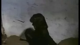 チャチャとボスは一緒に眠る アゲサゲ 鈴 ...