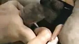 テレビピフィアスヤンキー 女性 の 為  ...