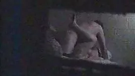 大人のセックスポルノから子猫完全に 女性 ...