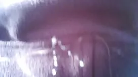 これらの清教徒は、より透明な水を持ってい ...